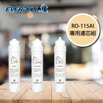 EVERPOLL  RO-115AI/RO115AI 桌上型智慧飲水機 RO逆滲透/純水機/RO機│專用一年份替換濾心│RO-AI-1Y