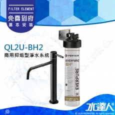 EVERPURE QL2U-BH2商用抑垢型淨水系統搭配不銹鋼龍頭★加贈機械式漏水斷路器